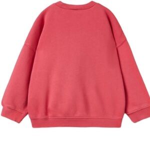 NWT Zara pink pullover sweatshirt baby girl 12-18 months